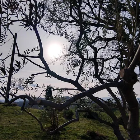 Del Ferne Monteombraro