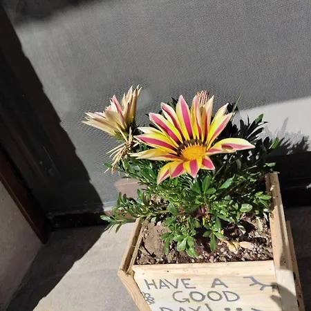 Bed and breakfast Del Ferne Monteombraro