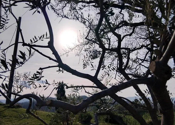 Del Ferne Monteombraro